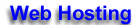 Web Hosting - Secure Hosting